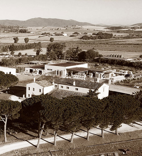 La storia di LaSelva