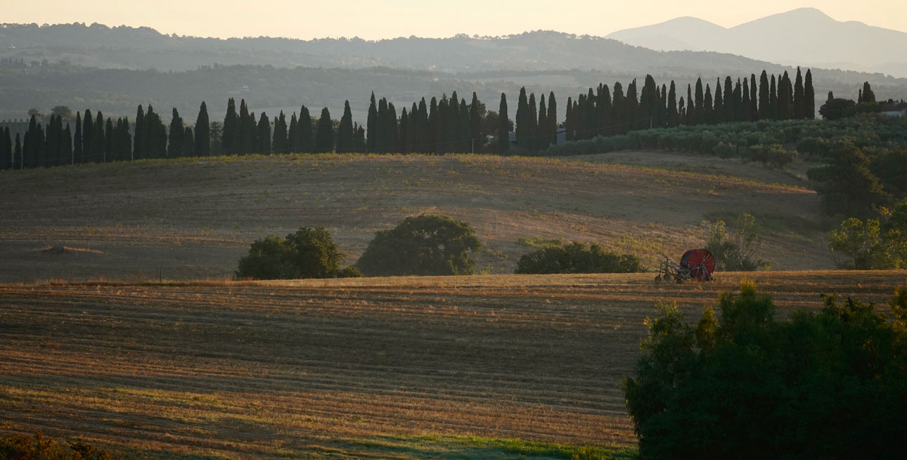 Azienda la Selva