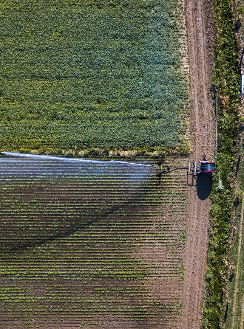 Azienda Agricola
