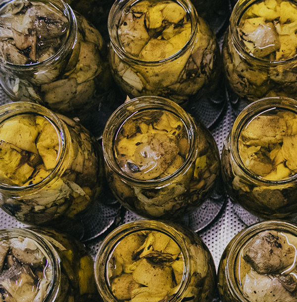 slider2 home azienda agricola biologica laselva mobile